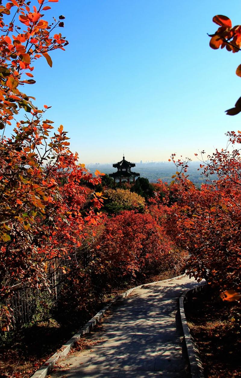 西山国家森林公园攻略