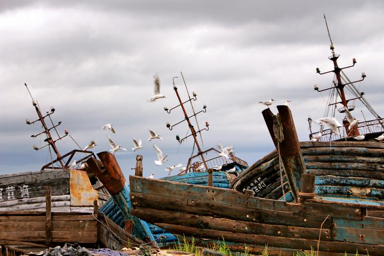 鲅鱼圈望海寨旅游景点