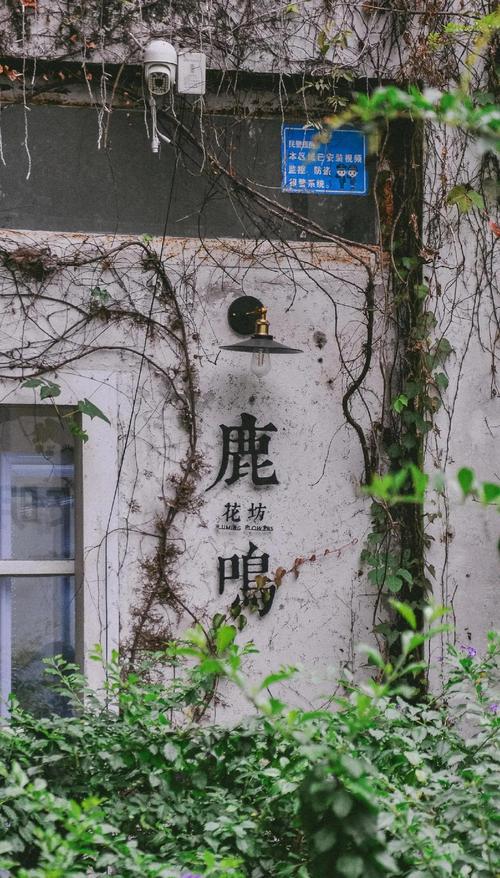 深圳华侨城创意园攻略