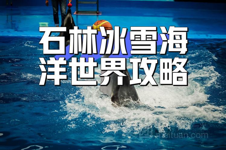 石林冰雪海洋世界攻略