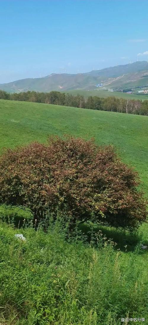 大滩镇旅游景点有哪些