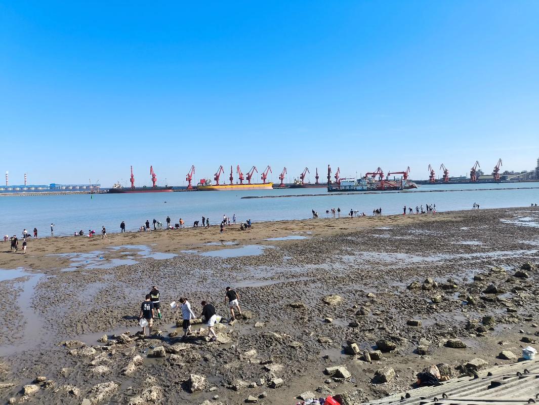 黄骅港有什么旅游景点
