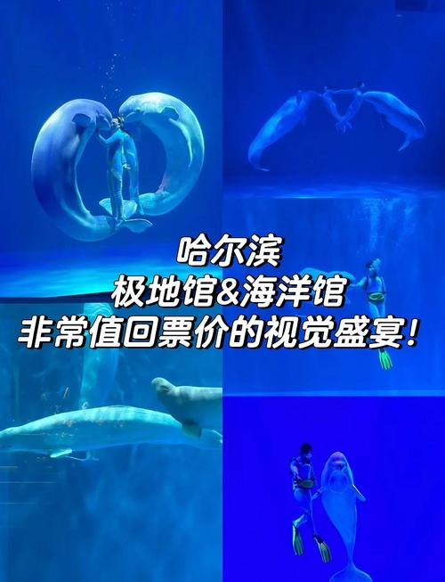 哈尔滨极地海洋馆攻略