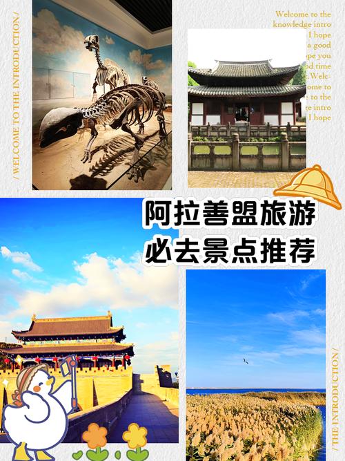 阿拉善有哪些旅游景点
