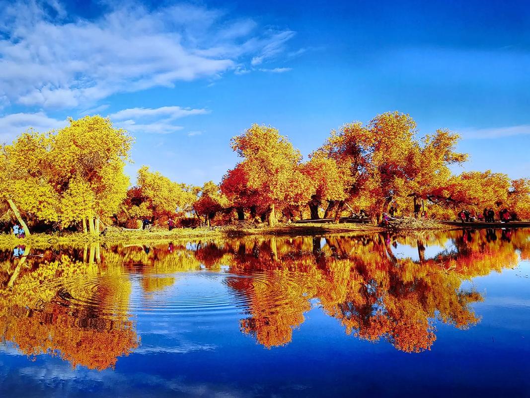 阿拉善有哪些旅游景点