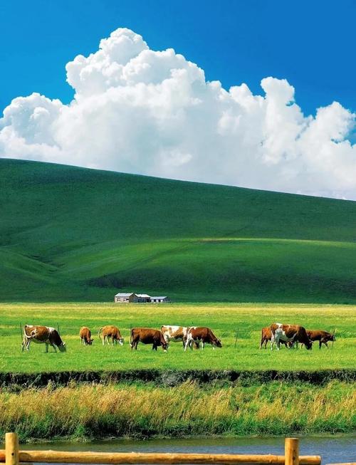 内蒙古海拉尔旅游景点