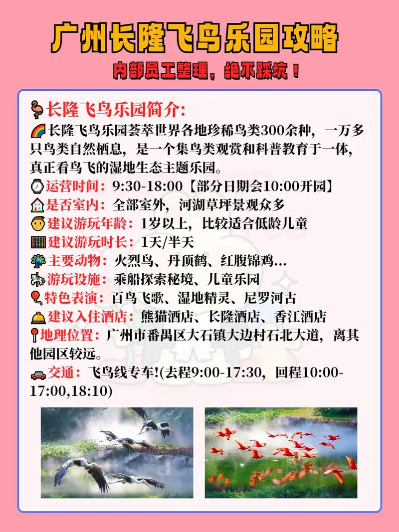 广州长隆飞鸟乐园攻略