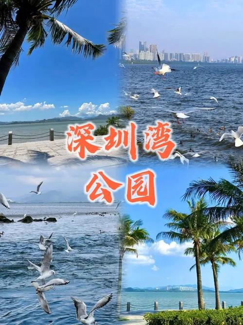 深圳十大免费旅游景点