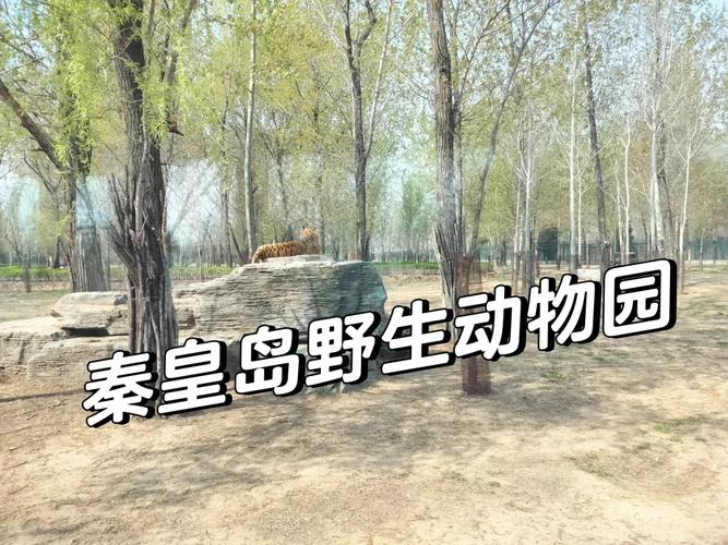 秦皇岛野生动物园攻略