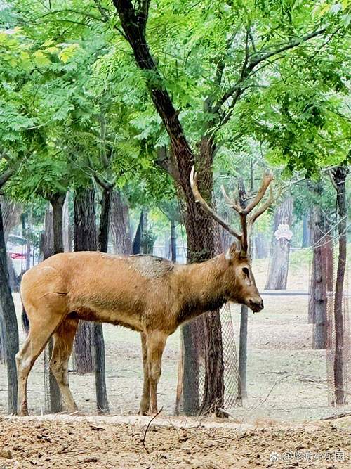 秦皇岛野生动物园攻略