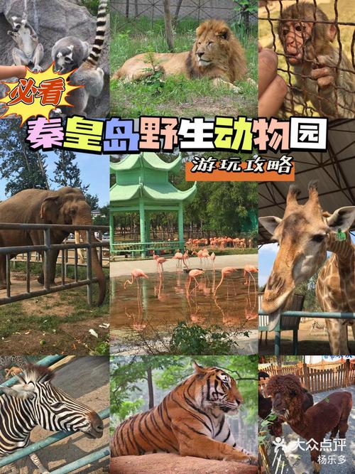 秦皇岛野生动物园攻略