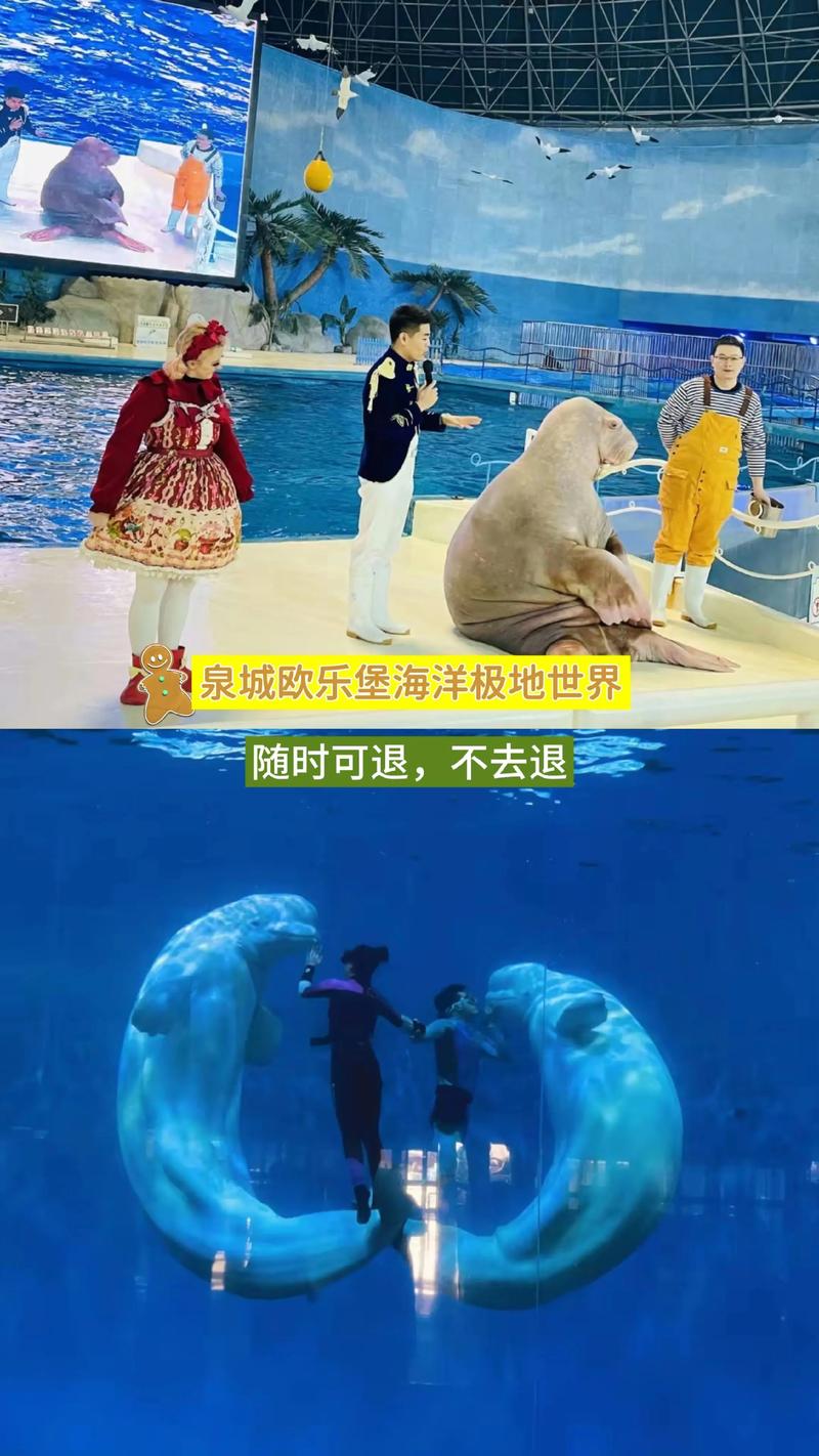 泉城极地海洋世界攻略