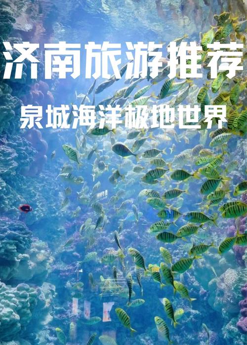 泉城极地海洋世界攻略