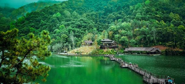 教师证旅游景点免费吗