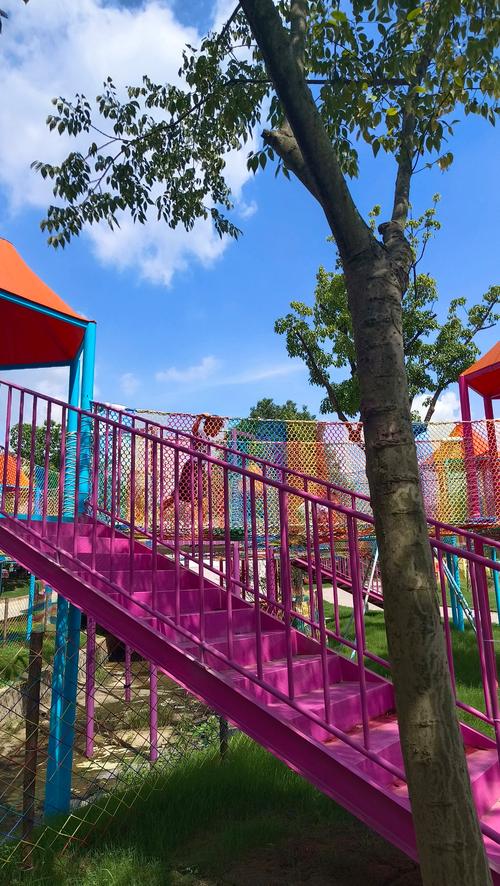 适合小学生的旅游景点