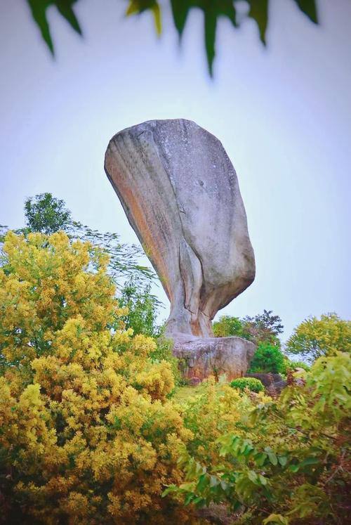 泉港周边旅游景点大全
