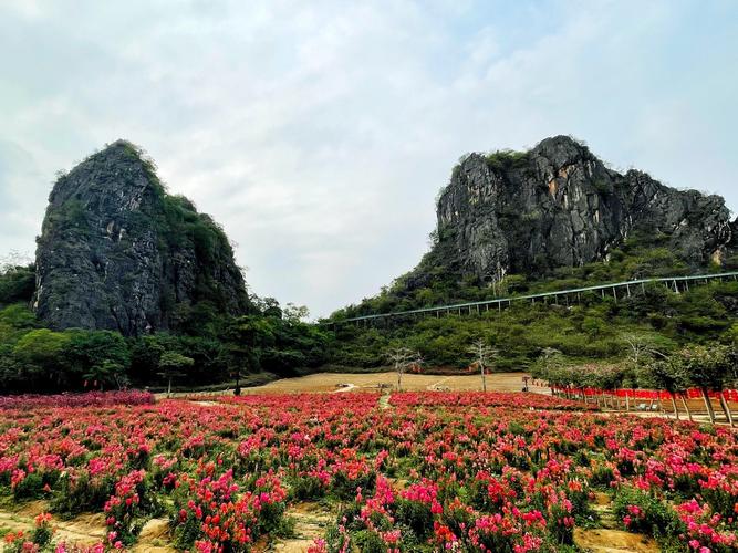 阳春市最好的旅游景点