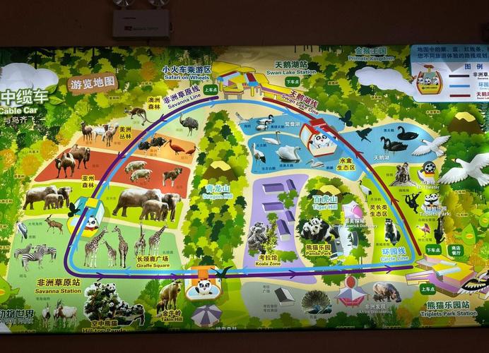 野生动物世界游玩攻略