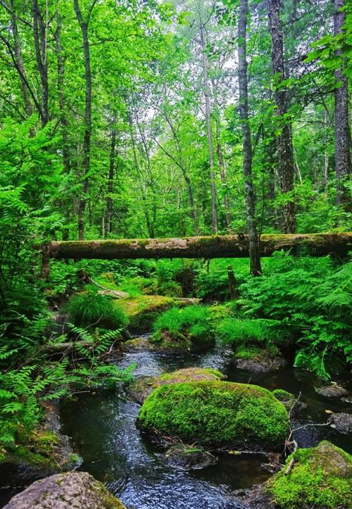 伊春五月旅游景点大全