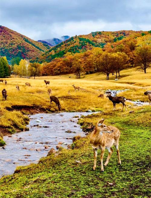 伊春五月旅游景点大全