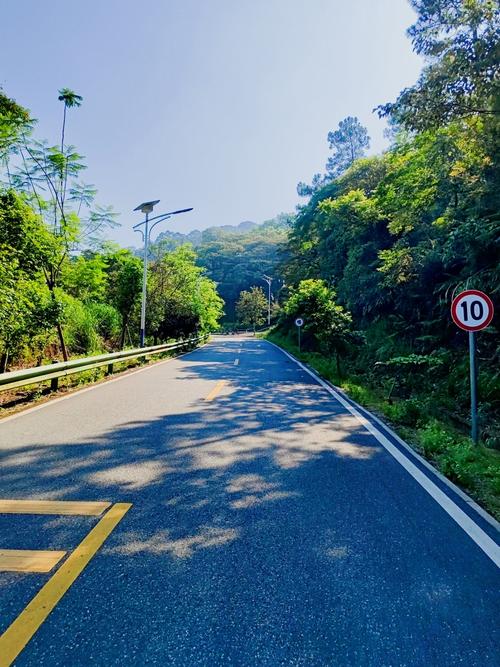 南香山森林公园 攻略