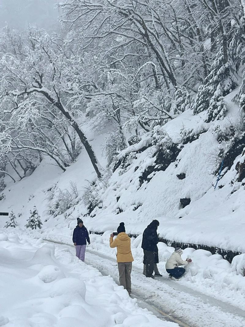 香格里拉冬季旅游攻略
