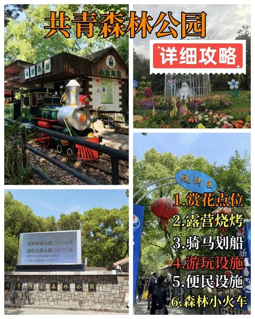 共青森林公园游玩攻略