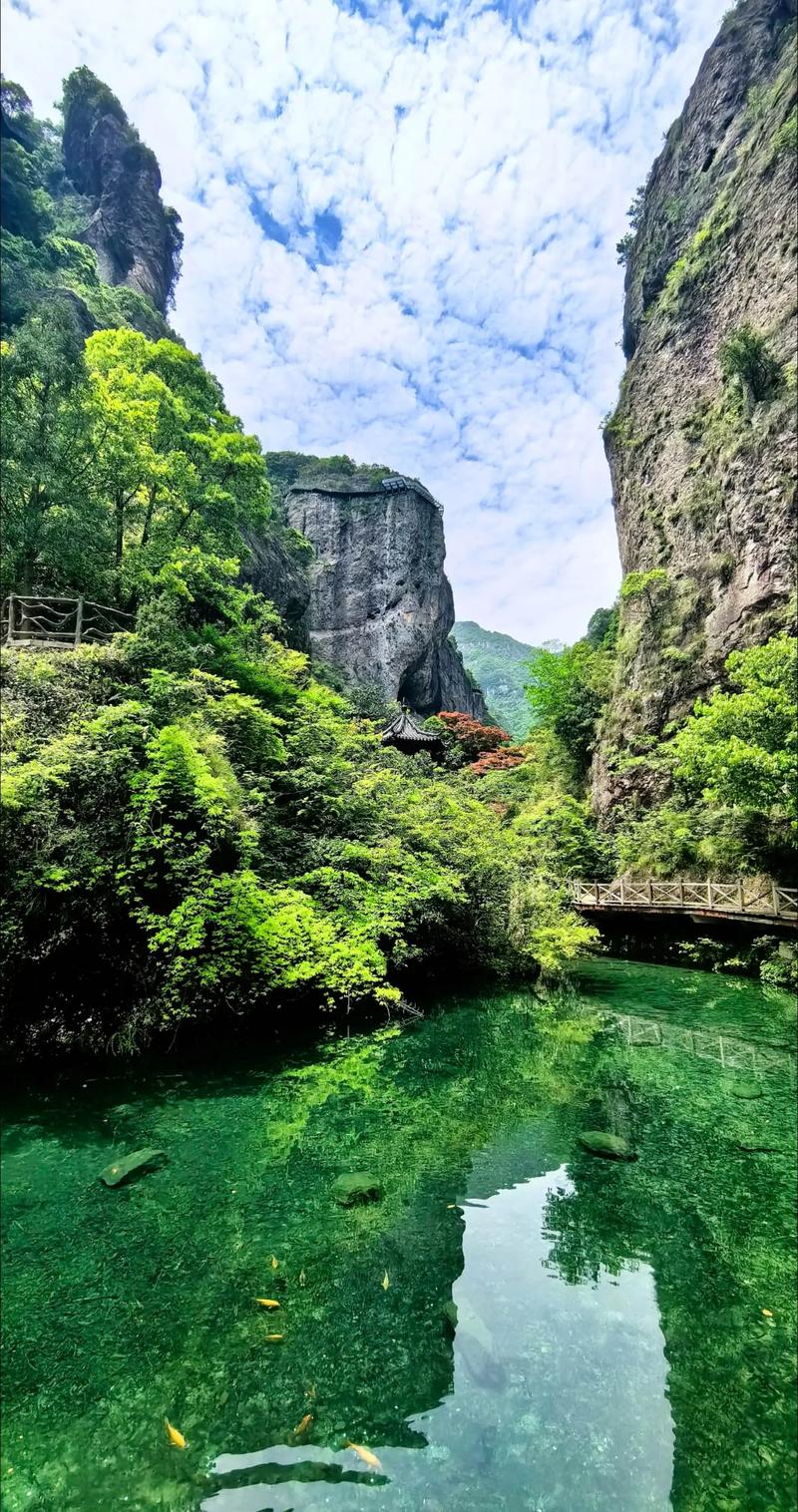 温州市有哪些旅游景点