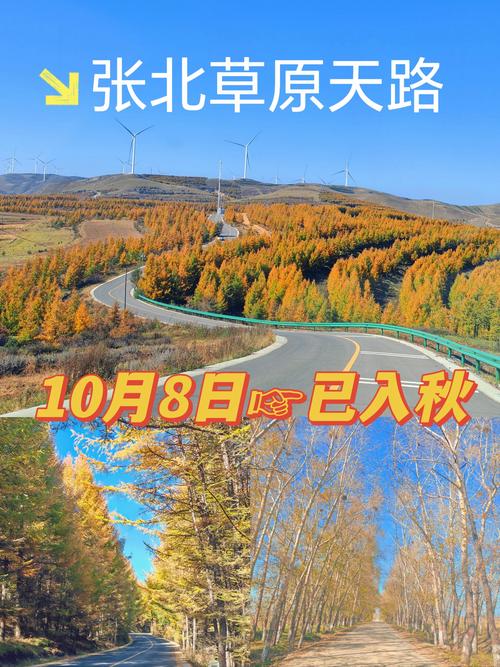 张北草原旅游攻略自驾