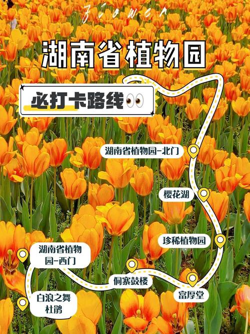 湖南省森林植物园攻略