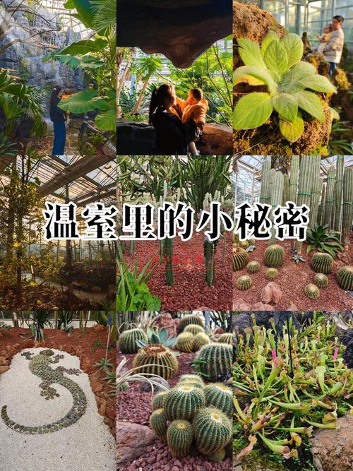 湖南省森林植物园攻略