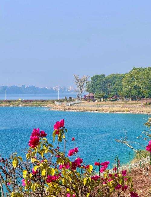 茂名市有哪些旅游景点