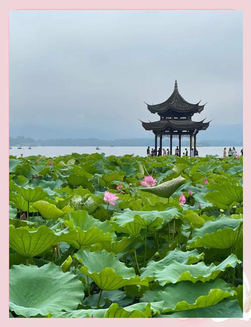 杭州西湖旅游住宿攻略