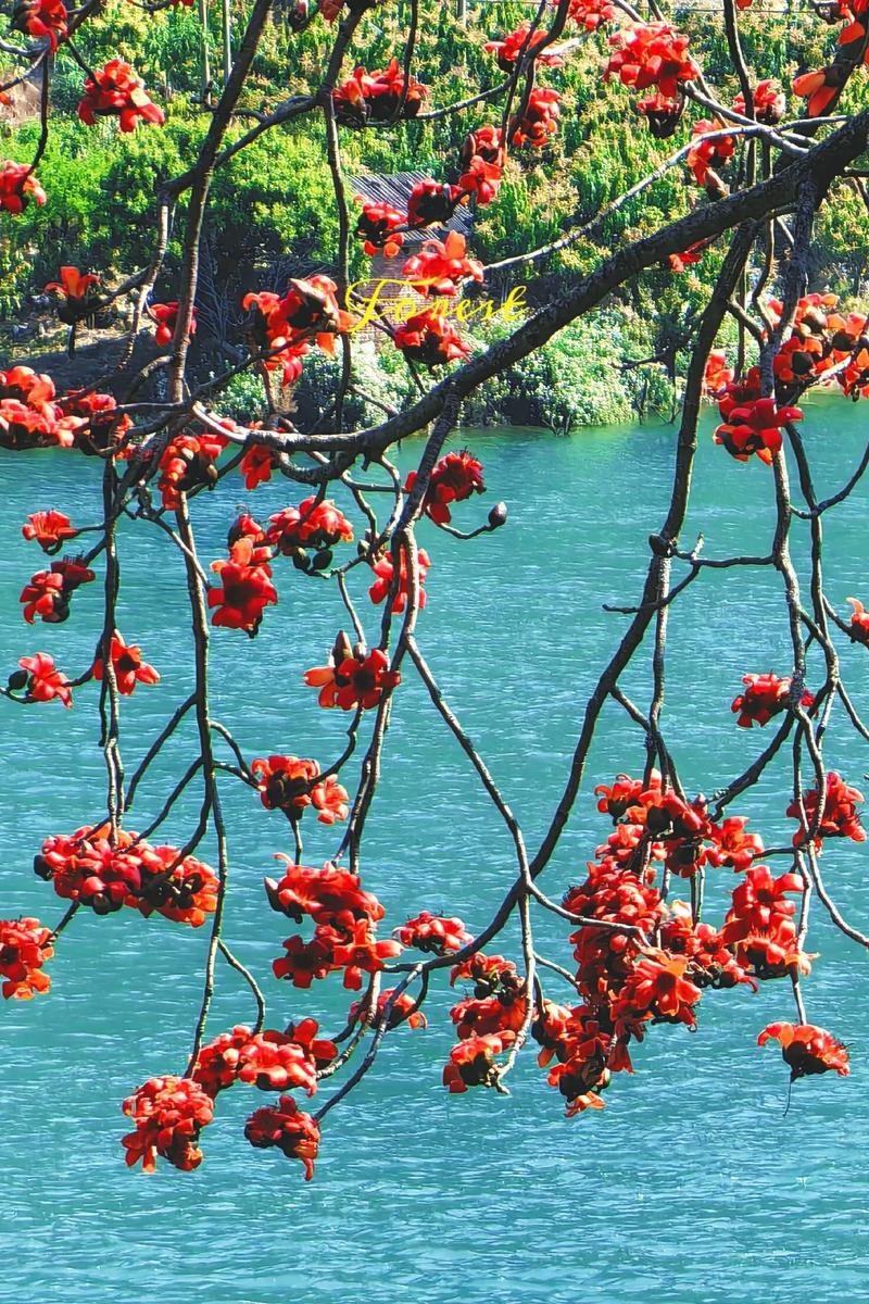 攀技花旅游景点最近的