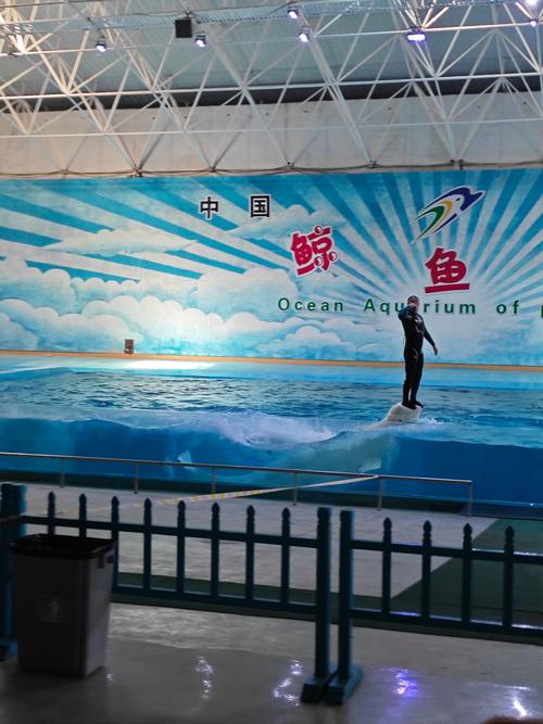 蓬莱极地海洋世界攻略