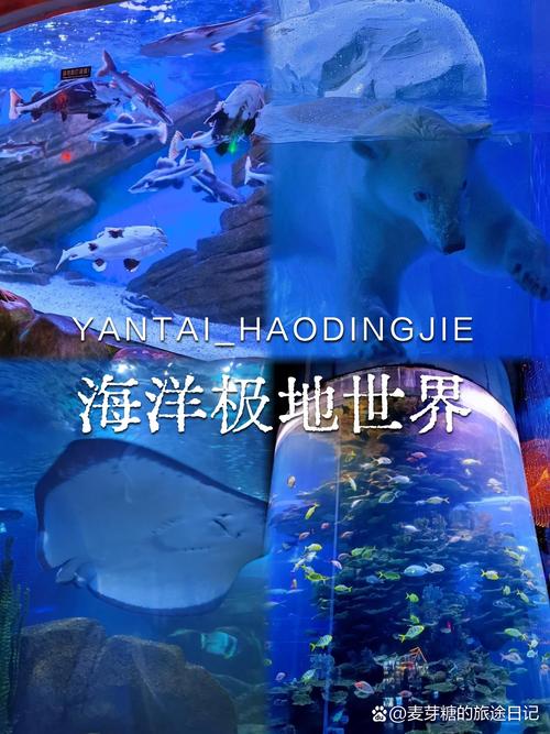 蓬莱极地海洋世界攻略